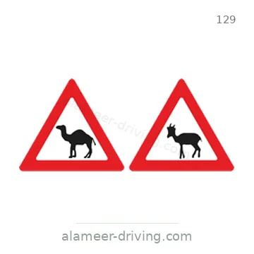 شاخصة المرور رقم 129